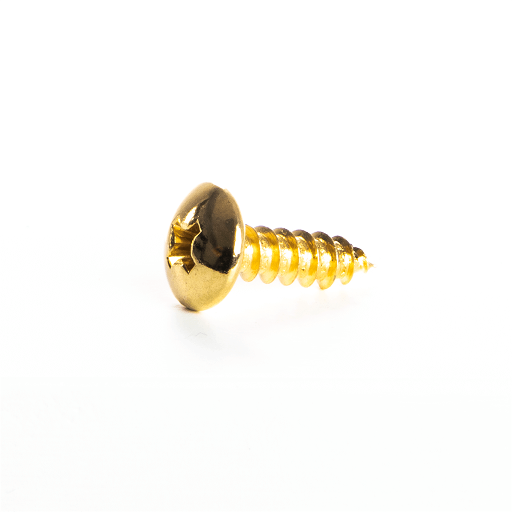 SCREW #8-12 GOLD PLATED FOR SCOREBOARD RAILS